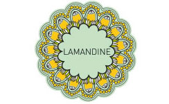 logo-lamandine-coul