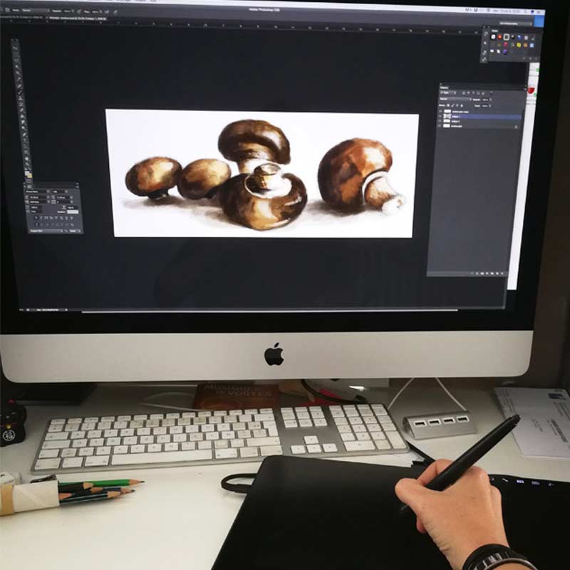 création d'illustrations